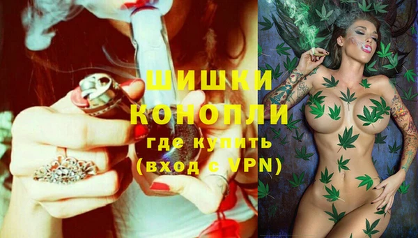 a pvp Гусь-Хрустальный