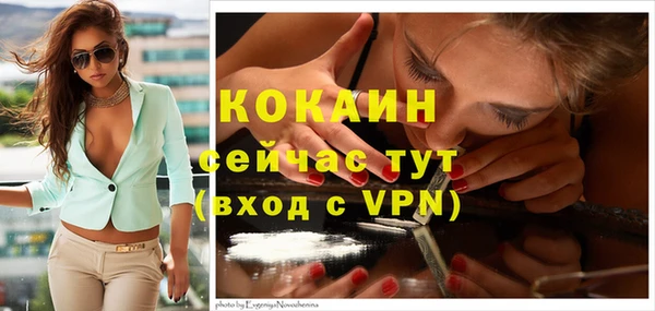 a pvp Гусь-Хрустальный