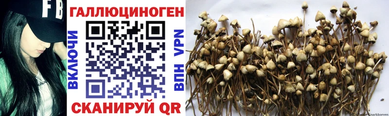 Псилоцибиновые грибы мухоморы  купить  сайты  ссылка на мегу ссылка  Озёры 
